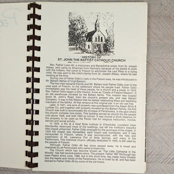 The Iron Skillet 1987 Vtg Louisiana Church Cookbook Cajun Creole Local Ethnic - Picture 4 of 8